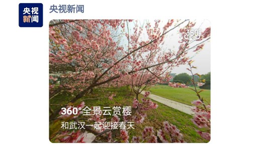 如何高效率地开展全景广告
