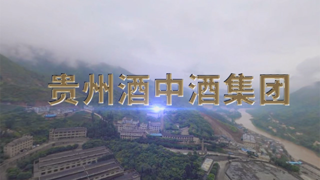 酒中酒集团VR全景视频震撼体验